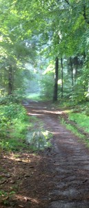 crop01_IMG_1050
